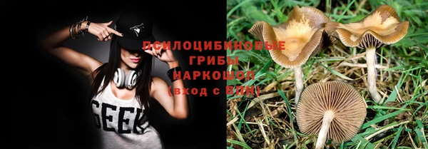 jwh Новозыбков