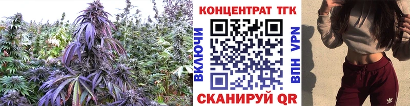 мега ONION  Лермонтов  Дистиллят ТГК жижа 